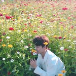 [EXO] 현판이 그렇게 <b>위험</b>하냐