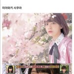 [댓글부탁해] 한남들 <b>스시</b>녀해명해