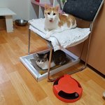 [쁘니단비] 다정하게 잘 지내는 쁘단유미