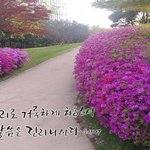 [꼭봐주세요] [기독교 편지] 주님 다시 오실때까지, <b>송구</b>영신호시절~~