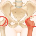 [댓글부탁해] <b>이부분</b> 원래 나와있음?