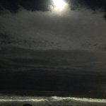 [EXO] 곰스타+댓글