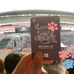 오늘 <b>롯</b>팸갔는데 최고였음