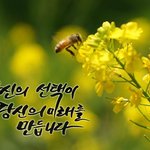 약속을  잘 지키는 사람이고 싶은 1인