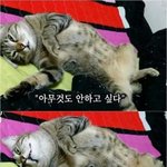 <b>아아</b>