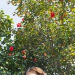 [댓글부탁해] 뜬금없는데 너네는 키랑 다리길이 몇<b>cm</b>야?