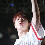 [황민현] 팔그뉵+쩰리
