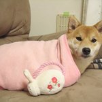 <b>포근</b>해