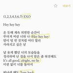 [EXO] 혹시 모르니 올리는 부메랑 응원법이래