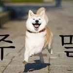주말인데