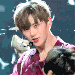 쿠션 추천 좀 해줘 ㅠㅠㅠ