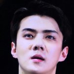 [세훈] 180623 <b>롯데</b>팸콘 프리뷰25