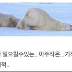 아근데 우리나라 너무<b>느림</b>