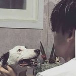 [댓글부탁해] 공주 씻으러 간다