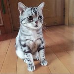생리통 <b>한약</b> 먹은 이후로 몇 개월 째 생리 안 해
