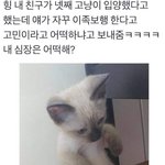 [댓글부탁해] 렌즈사고싶은데 어떻게할지 골라줘