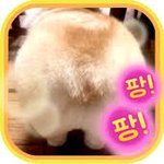 <b>힐링</b>