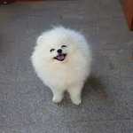 <b>힘내요</b>
