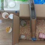 <b>북문</b> 홈플러스 햄스터~ 구해옴