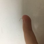 [사진ㅇ] 야 나 <b>실밥</b> 어떡해 빼야해 이거?