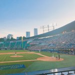 서울대에 에버랜드 4개 <b>롯월</b> 30개 들간대