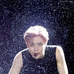 자기 본진 레전드 짤 올리고 가자!!