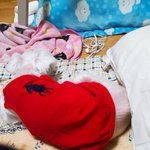 나 친구 댕댕이 맡아주고 있는데