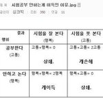 시험공부 안하는게 개<b>이득</b>인 이유