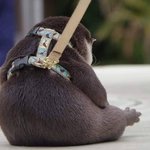 [드루와] 오늘 내남친 <b>전여</b>친 만났는데