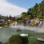 사과의 <b>효능</b>