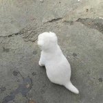 귀짤보고 <b>놀란</b>애들 다들어와