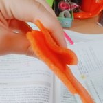 쫀디기 <b>존맛</b>