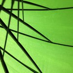 우리 친할아버지 6. 25 <b>참전</b>하셨는데