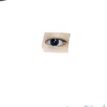 [조언부탁해] 나 쌍수할까 고민중인데 (사진ㅇ)