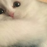 [댓글부탁해] <b>장용준</b> 인스타 개웃기네