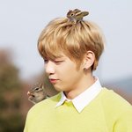 [강다니엘] 이짤 너무 ㄱㅇㅇ