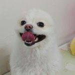 비는 그쳤는데