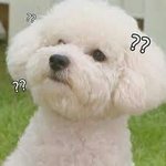 [EXO] 애들아 티켓<b>바코드</b>사진 함부러올려두됨?