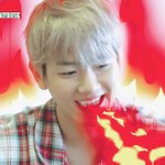 [백현] 엑사세가 백현이 <b>파이리</b>로 만듦