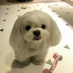 [드루와] ㅈㄴ 슬픈글 보고싶다..