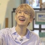 [EXO] 변백현 가끔 나오는 댕댕이 댕청미