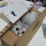 내 친구 왜 <b>지랄</b>하는지 아는 사람