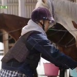 [시우민] 무해 <b>평안</b> 평화로운 시우민과 말의 장면들 ㅋㅋ