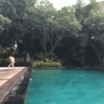 설현 다이빙하고 수영 <b>gif</b>