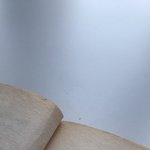 [드루와] 미국핵인싸 유행어 알려준다 들어와