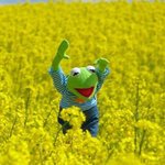 [조언부탁해] <b>다음</b>주 수요일 <b>시험</b>인데