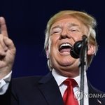 산들바람(breeze) (4)