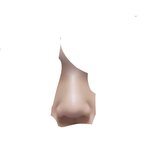 [조언부탁해] 나 코 개망한듯
