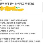 강아지 <b>산책</b> 중에 간식 얻어먹고 죽었어요