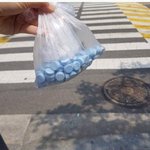 실시간 인기글에 파란 알약 <b>쥐약</b> 아님.